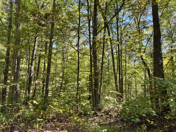 4500 Britton Branch Rd, Manchester, KY 40962