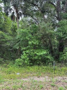 2075 Bayberry City In The Est #OF, Bunnell, FL, 32110