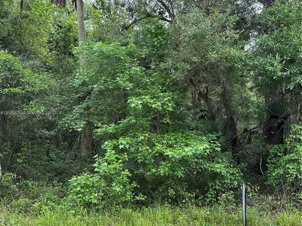 2075 Bayberry City In The Est #Of, Bunnell, FL 32110