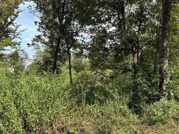 Walnut Ridge Rd, Livingston, TX 77351