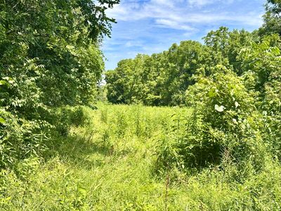 839 Saltwell Rd, Carlisle, KY, 40311