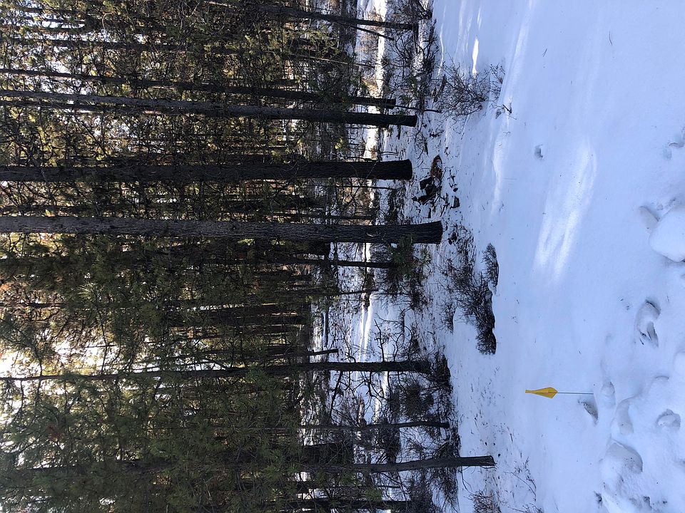 1st image of 15415 Treemont Pl