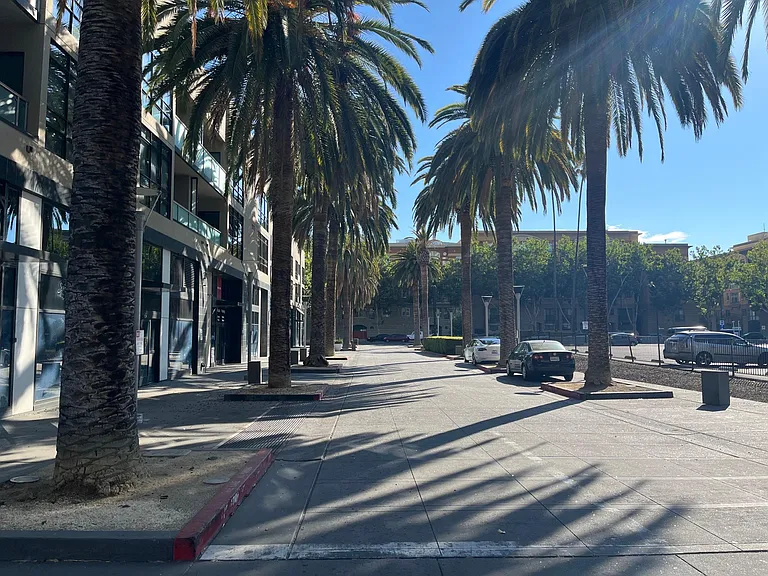 Palm-tree lined drive to the garage.
