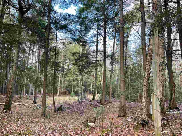 Tbd East Side Dr, Beaver Island, MI 49782