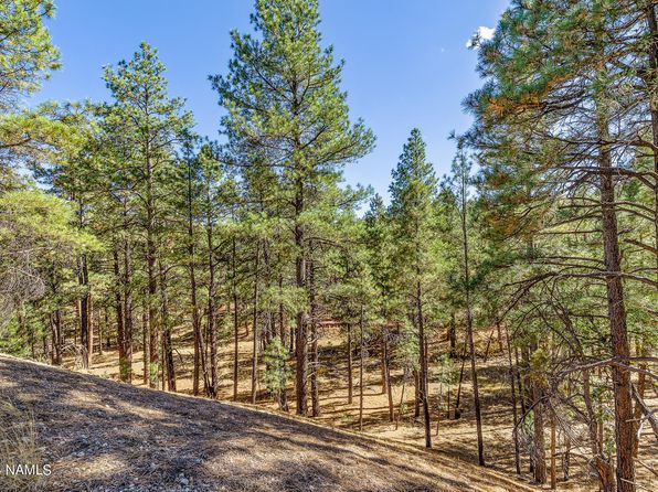 77 E Ski Run Rd, Williams, AZ 86046