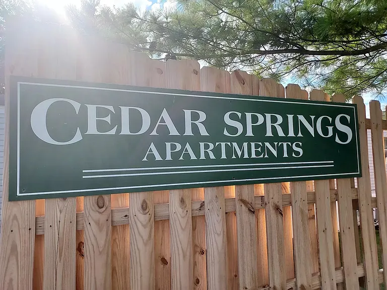 501 Cedar Springs Pl #20 — Photo 9
