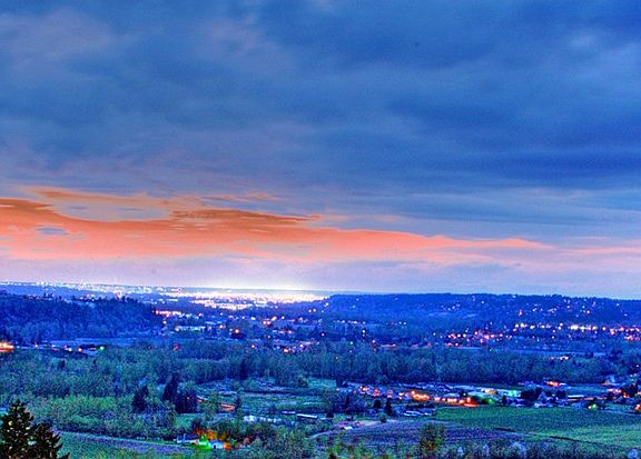 2nd image of 11003 177th Avenue Ct E