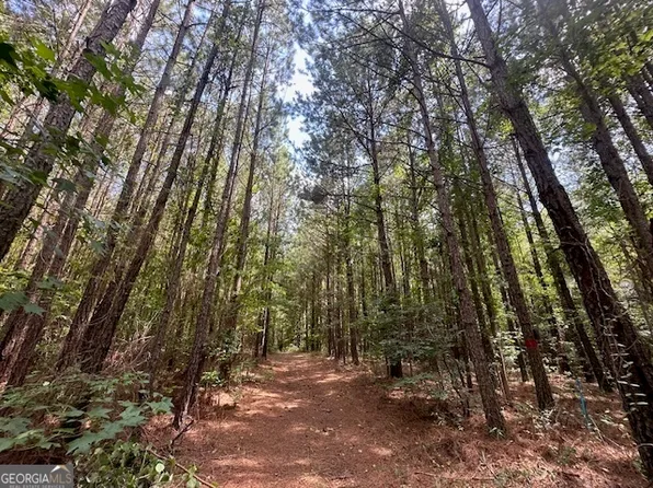 100 Saint Marys Rd SW, Crawfordville, GA 30631