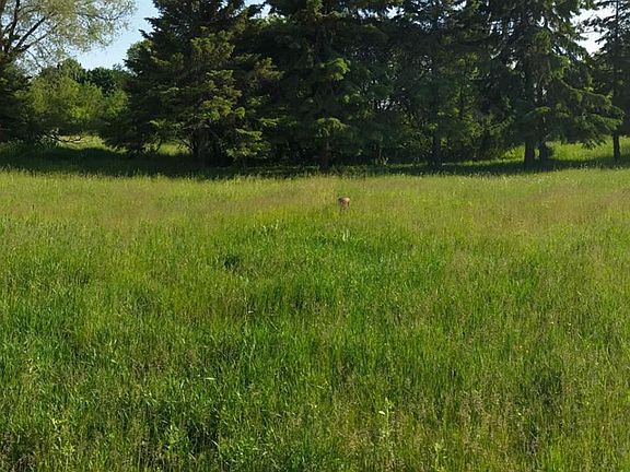 Center view of property