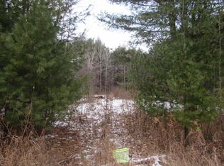 3586 Woods Dr, Mikado, MI 48745