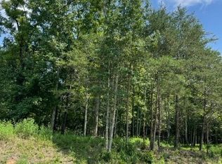 2923 Burnt Mountain Rd, Ellijay, GA 30536