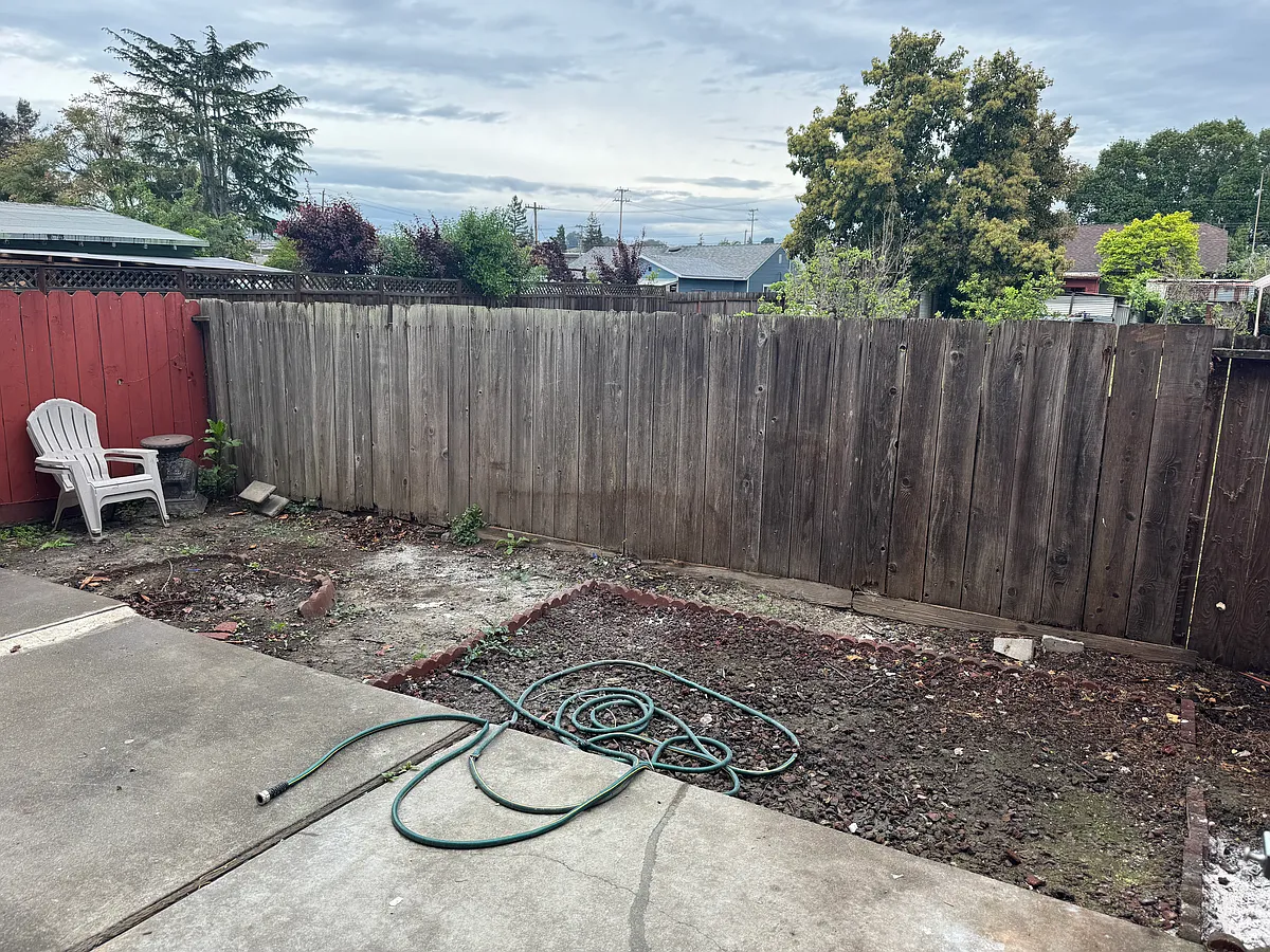 Backyard - 343 Medford Ave #3