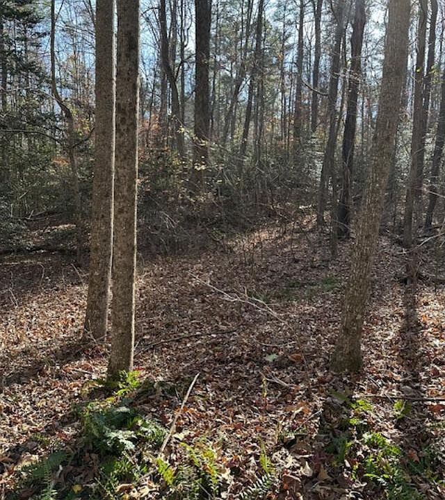 2nd image of 15 Holly Point Dr