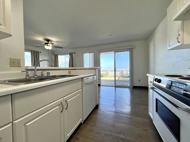 Kitchen and Patio Door