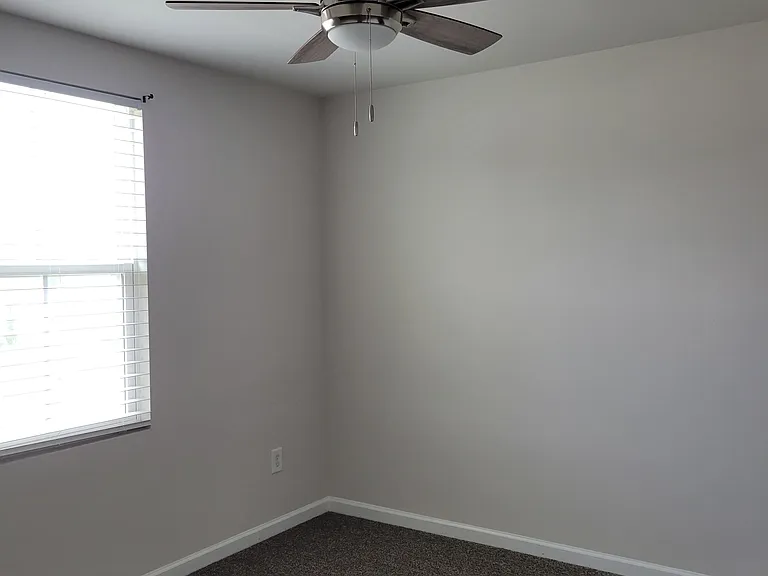 141 Catalpa Ct — Photo 12