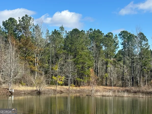 0 Newington Hwy, Sylvania, GA 30467