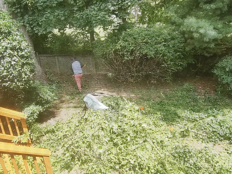 1417 N Buchanan St — Photo 3