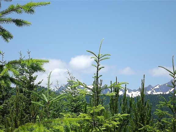 5th image of 4 Lake Cushman Forest Reserve