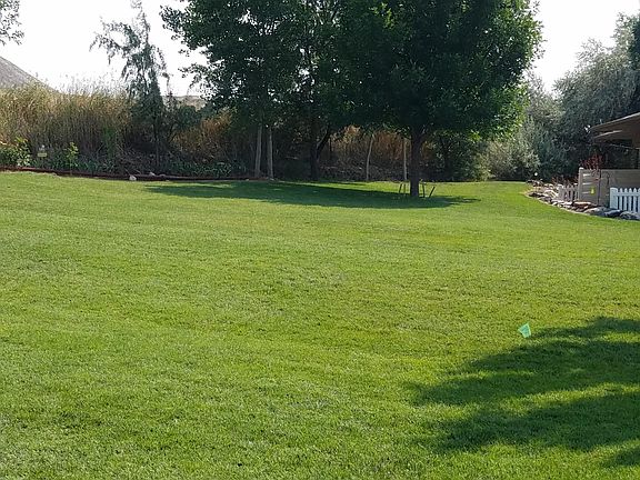 Surrounded by open space and next to walking trail