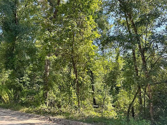 3rd image of 31 SW 68th Dr
