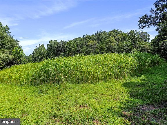 4th image of 1704 Posey Hollow Rd