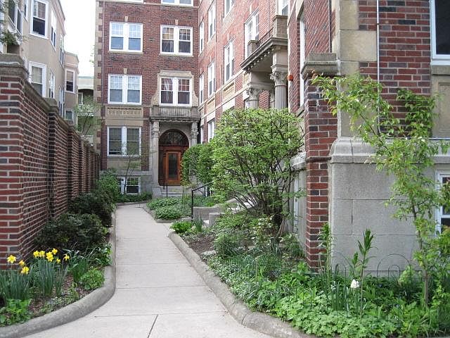 BLDG FRONTAGE & entry pathway