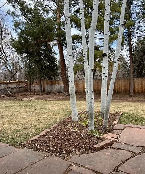1854 E Lake Dr — Photo 26