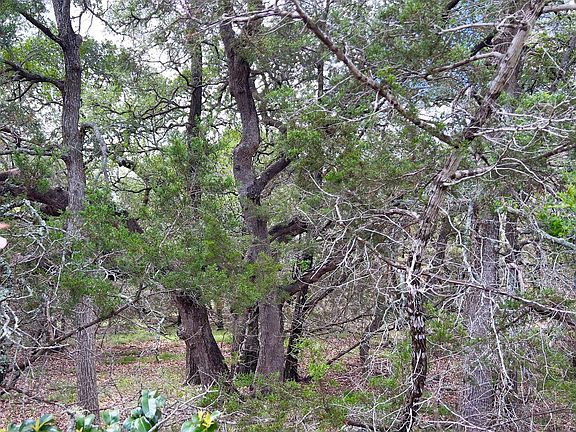 5th image of LOT 43 Narrows Rd #1