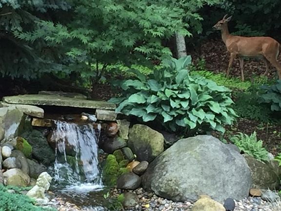 Beautiful in all seasons!