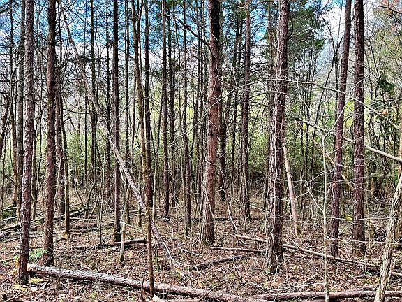 5th image of 0 County Road 188 Lot 1