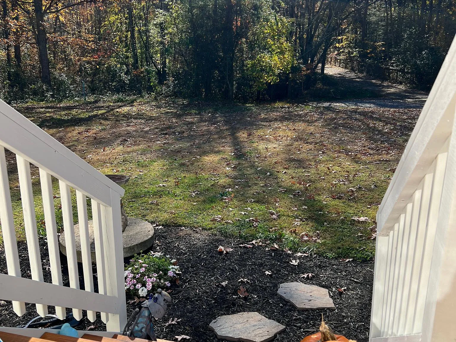 14389 Snake Castle Rd — Photo 3