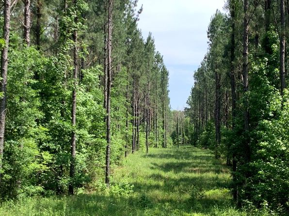 Athens Trail Ne Timberlane Rd NE, Wesson, MS 39191