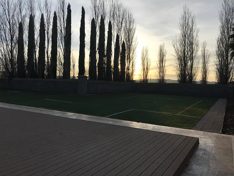 Backyard