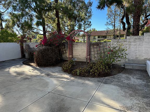 Backyard view from home