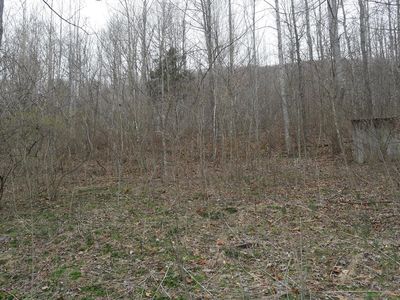 Tbd Old Mill Rd, Glade Spring, VA, 24340
