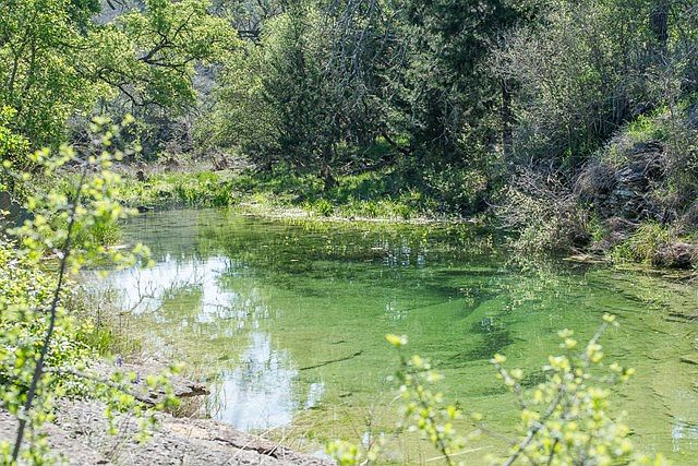 1st image of 0 Backbone Creek Dr