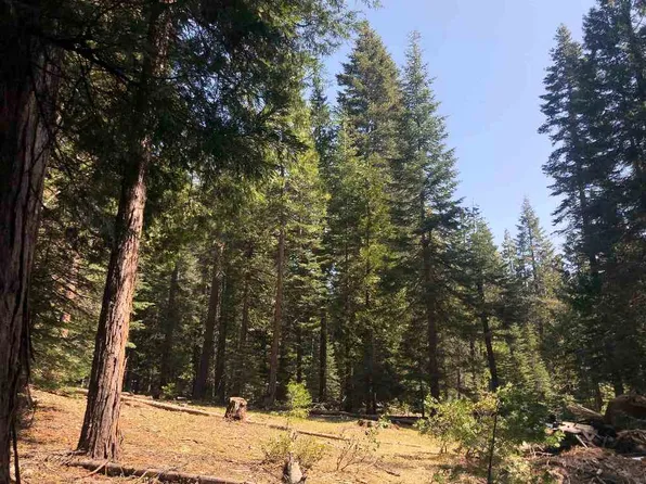 2-A-28 Summit Cir, McCloud, CA 96057