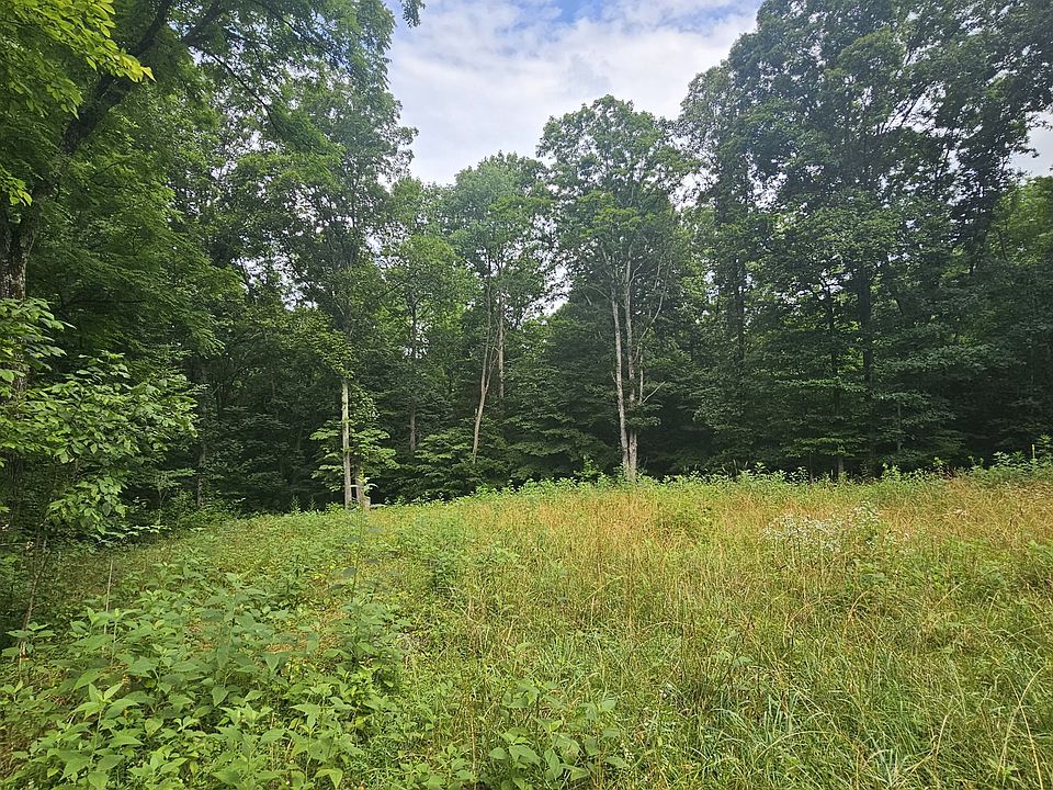 2nd image of 0 Shiloh Canaan Rd