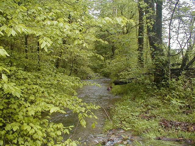 2nd image of 0 Neeley Creek Rd Lot 5