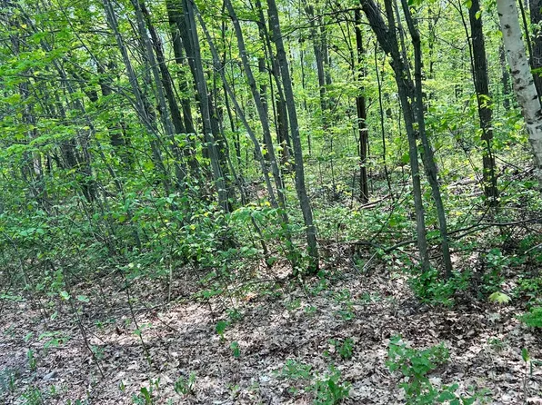 Lost Lake Trl, Cushing, MN 56443