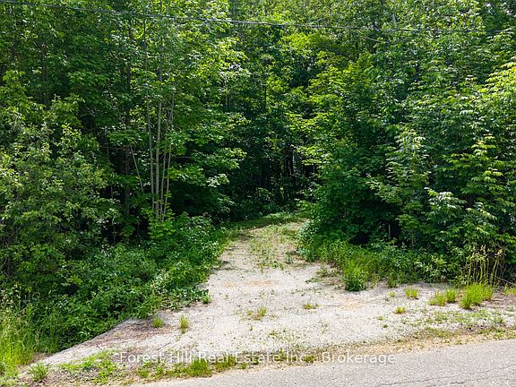 5th image of 154 Bowles Bluff Rd