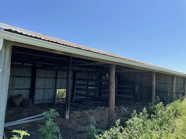 13264 Jackson Rd — Photo 34
