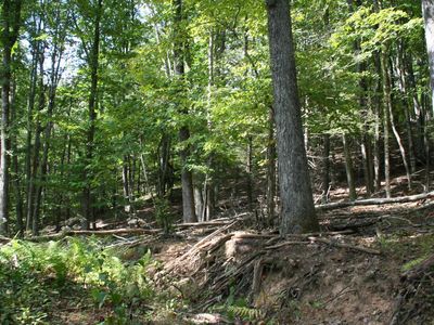 2 Highland Tpke, Monterey, VA, 24465