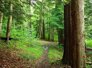 16359 Fish Creek Rd, Cameron, WV 26033