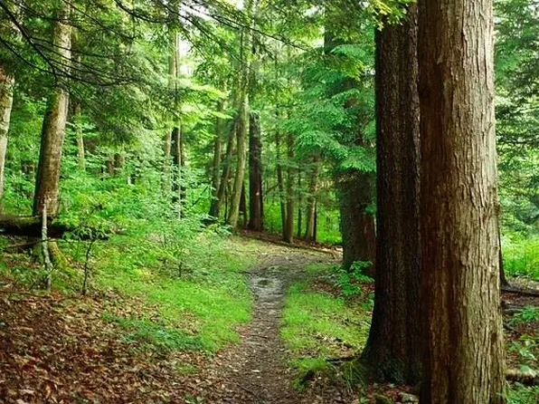 16359 Fish Creek Road, Cameron, WV 26033