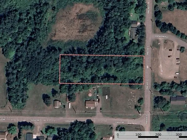 Xxx Pine Ave S, Sandstone, MN 55072
