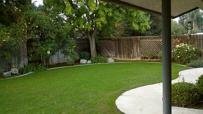 landscaped backyard