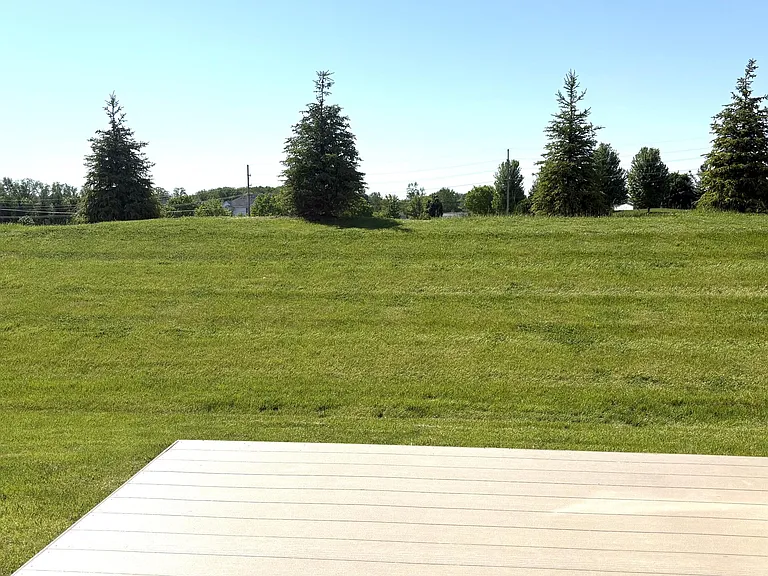 1206 Salt Springs Dr — Photo 14