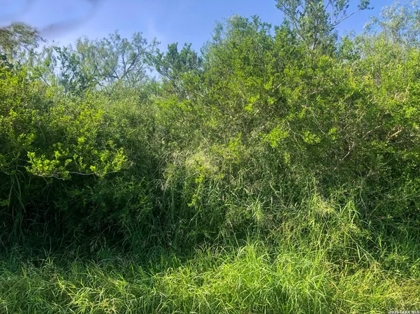 000 cr 619 LOT 36-37, Skidmore, TX 78389
