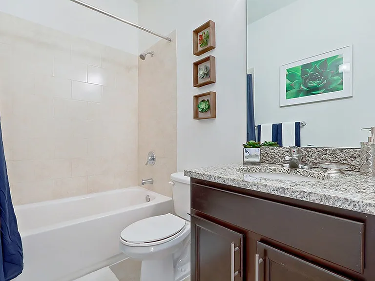 Soaking tubs in master bathrooms